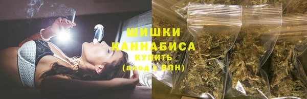 PSILOCYBIN Карталы