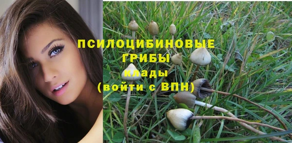 PSILOCYBIN Карталы