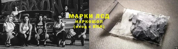 PSILOCYBIN Карталы