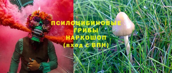 PSILOCYBIN Карталы