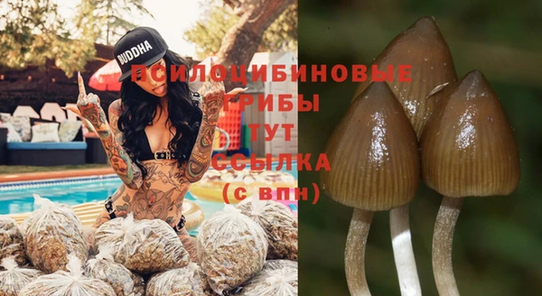 герыч Карпинск