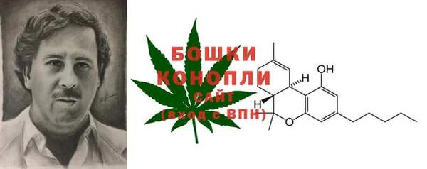молекула духа Касимов
