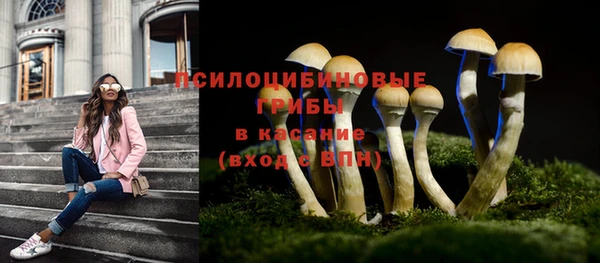 молекула духа Касимов